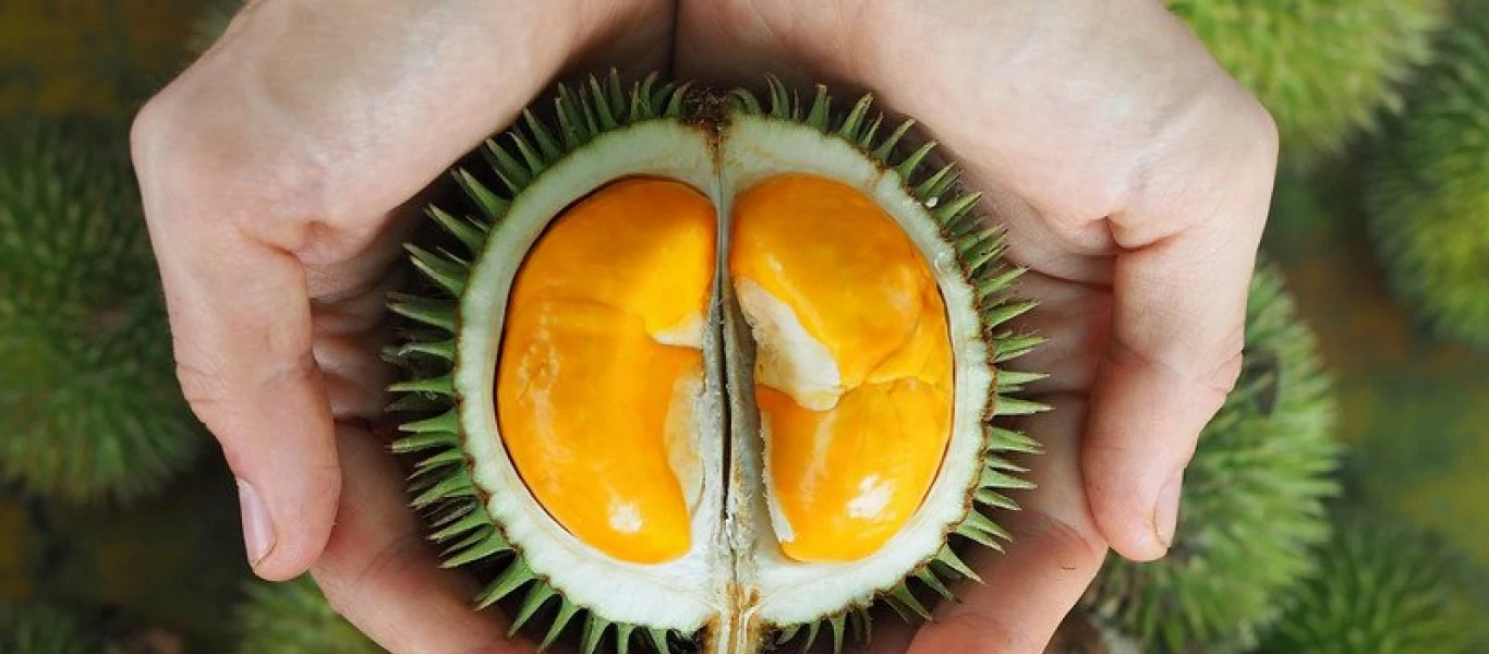 Βρωμάει και ζέχνει αλλά είναι το ακριβότερο φρούτο του κόσμου